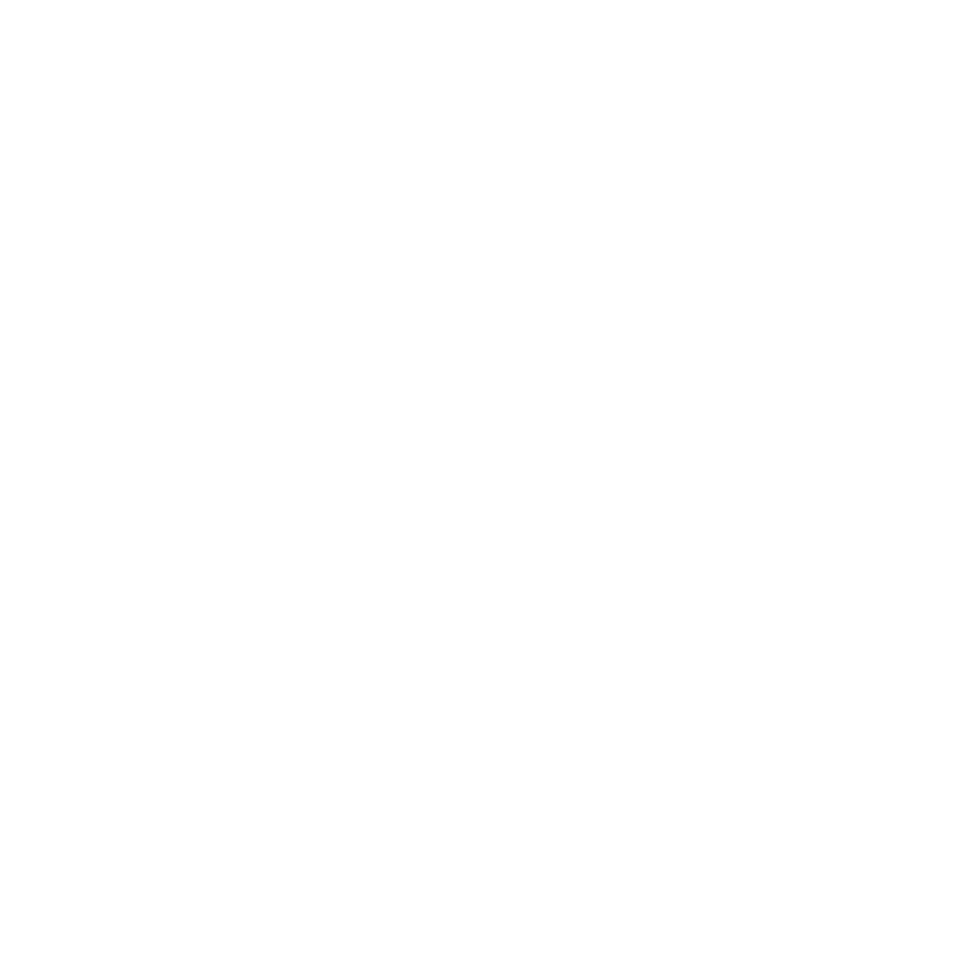 Karl Kani